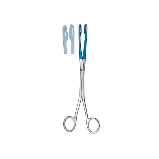 Champion Forceps 22cm